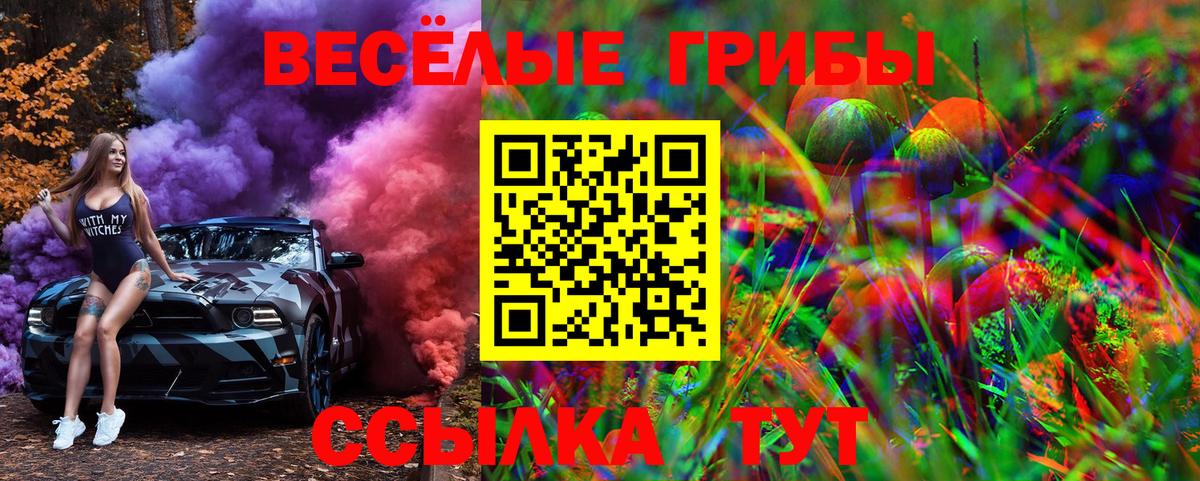 Волжск  Галлюциногенные грибы Magic Shrooms  Вход с VPN 